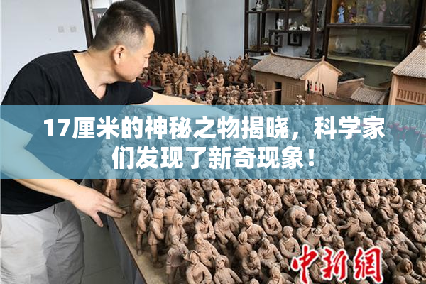 17厘米的神秘之物揭晓，科学家们发现了新奇现象！