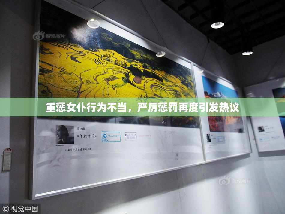 重惩女仆行为不当，严厉惩罚再度引发热议