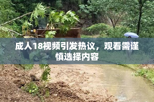 成人18视频引发热议，观看需谨慎选择内容