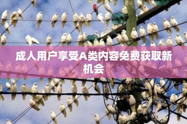 成人用户享受A类内容免费获取新机会