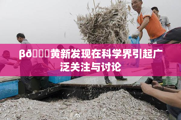 β🔞黄新发现在科学界引起广泛关注与讨论