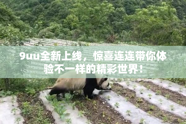 9uu全新上线，惊喜连连带你体验不一样的精彩世界！