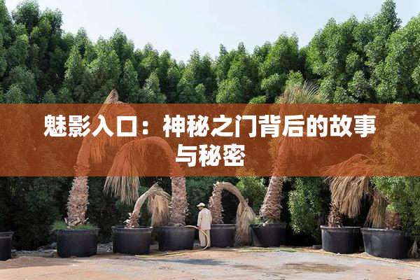 魅影入口：神秘之门背后的故事与秘密