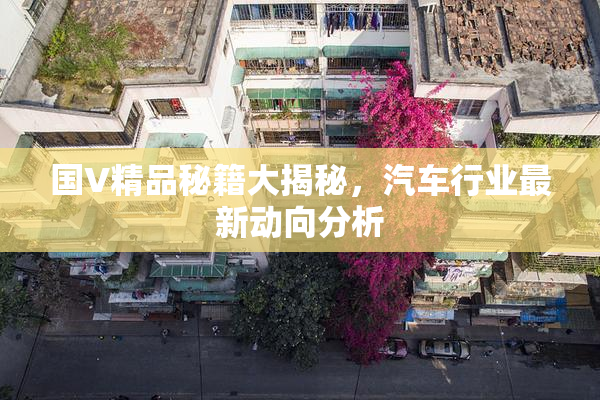 国V精品秘籍大揭秘，汽车行业最新动向分析