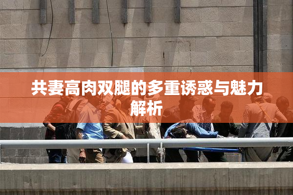 共妻高肉双腿的多重诱惑与魅力解析