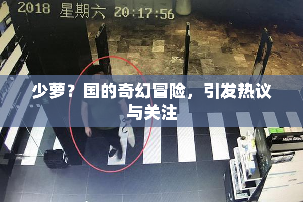 少萝？国的奇幻冒险，引发热议与关注