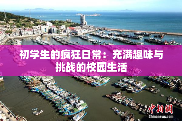 初学生的疯狂日常：充满趣味与挑战的校园生活