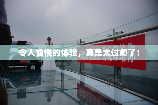 令人愉悦的体验，真是太过瘾了！