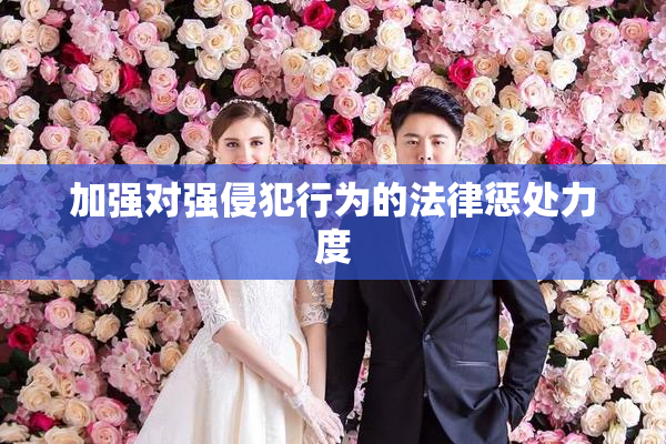 加强对强侵犯行为的法律惩处力度