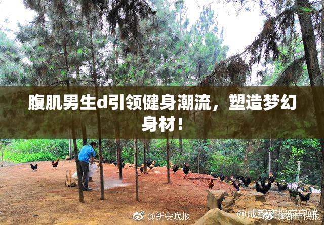 腹肌男生d引领健身潮流，塑造梦幻身材！