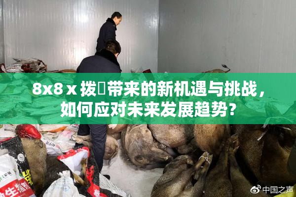 8x8ⅹ拨牐带来的新机遇与挑战，如何应对未来发展趋势？