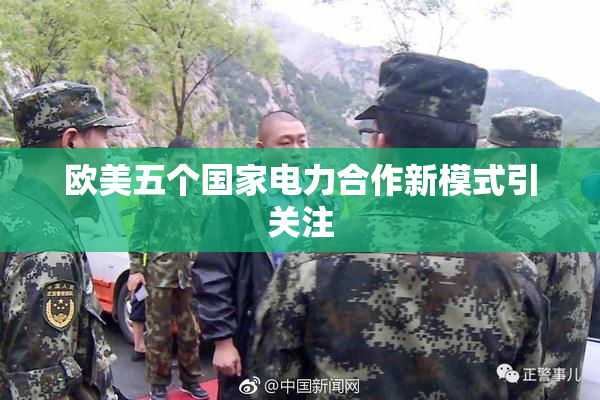 欧美五个国家电力合作新模式引关注