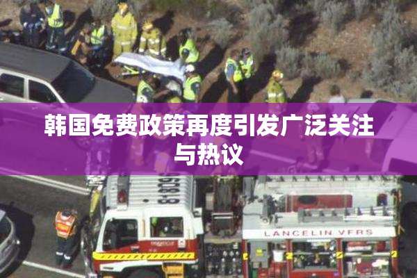 韩国免费政策再度引发广泛关注与热议