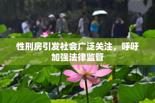 性刑房引发社会广泛关注，呼吁加强法律监管