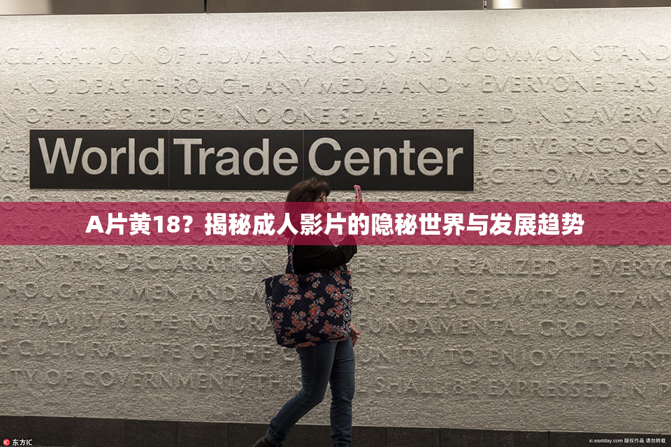 A片黄18？揭秘成人影片的隐秘世界与发展趋势