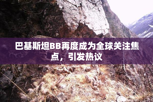 巴基斯坦BB再度成为全球关注焦点，引发热议