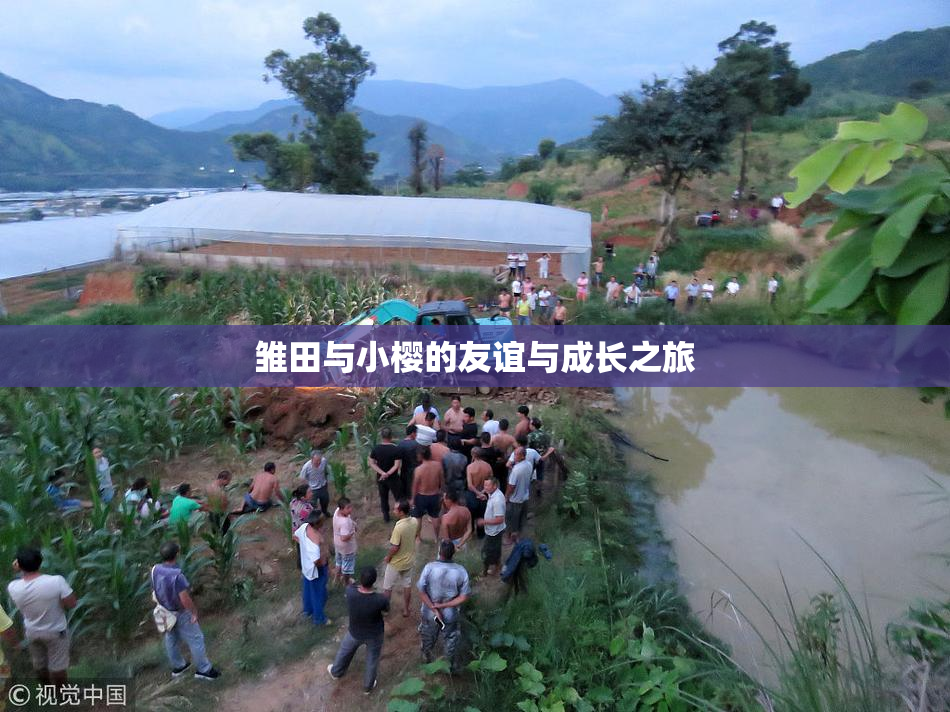 雏田与小樱的友谊与成长之旅