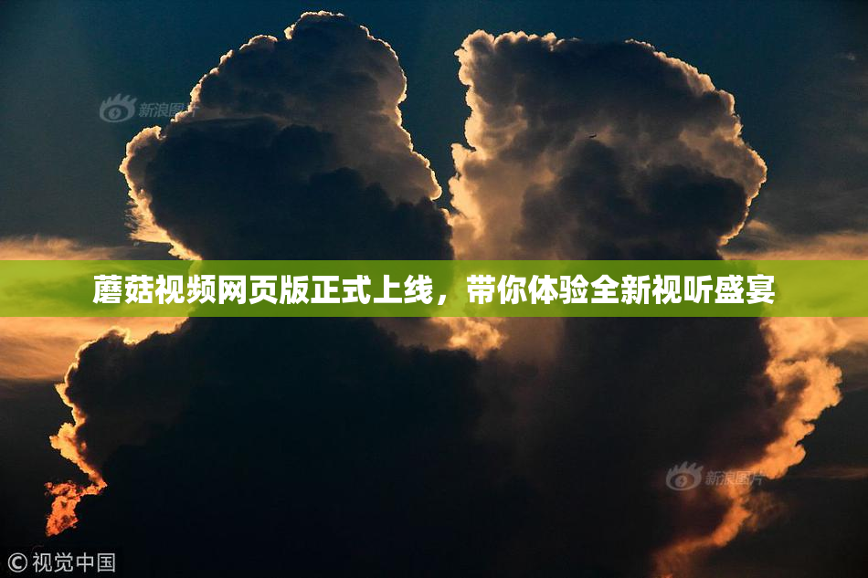 蘑菇视频网页版正式上线，带你体验全新视听盛宴