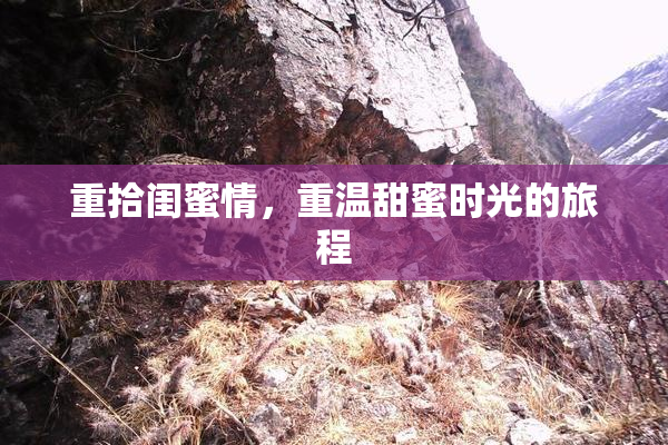 重拾闺蜜情，重温甜蜜时光的旅程