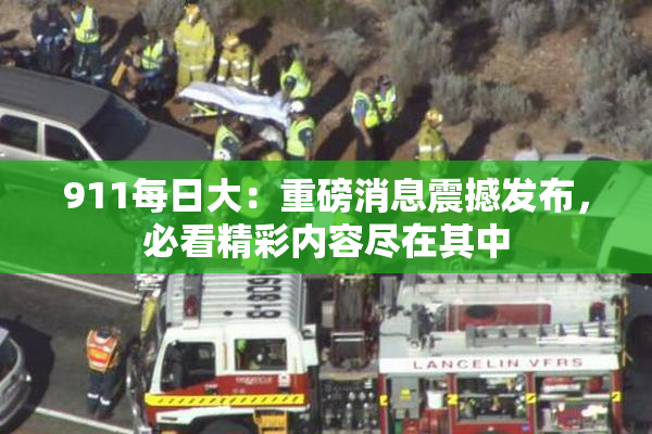 911每日大：重磅消息震撼发布，必看精彩内容尽在其中