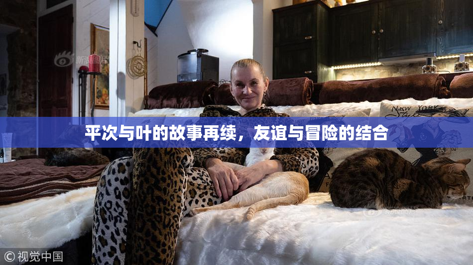 平次与叶的故事再续，友谊与冒险的结合