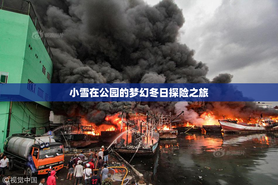 小雪在公园的梦幻冬日探险之旅