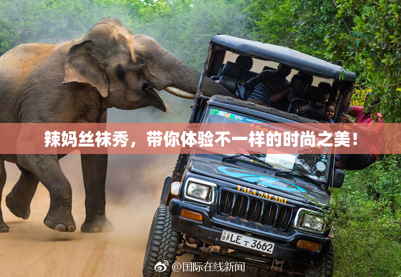 辣妈丝袜秀，带你体验不一样的时尚之美！