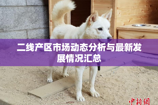 二线产区市场动态分析与最新发展情况汇总