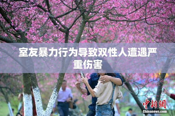 室友暴力行为导致双性人遭遇严重伤害
