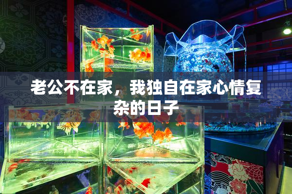 老公不在家，我独自在家心情复杂的日子