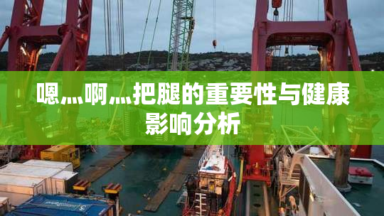 嗯灬啊灬把腿的重要性与健康影响分析