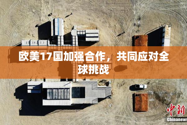 欧美17国加强合作，共同应对全球挑战