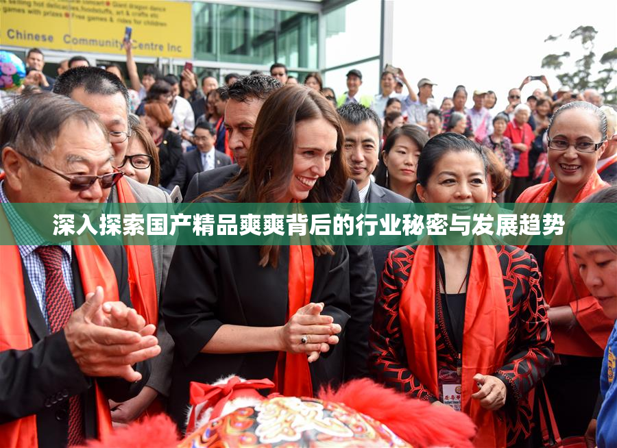 深入探索国产精品爽爽背后的行业秘密与发展趋势