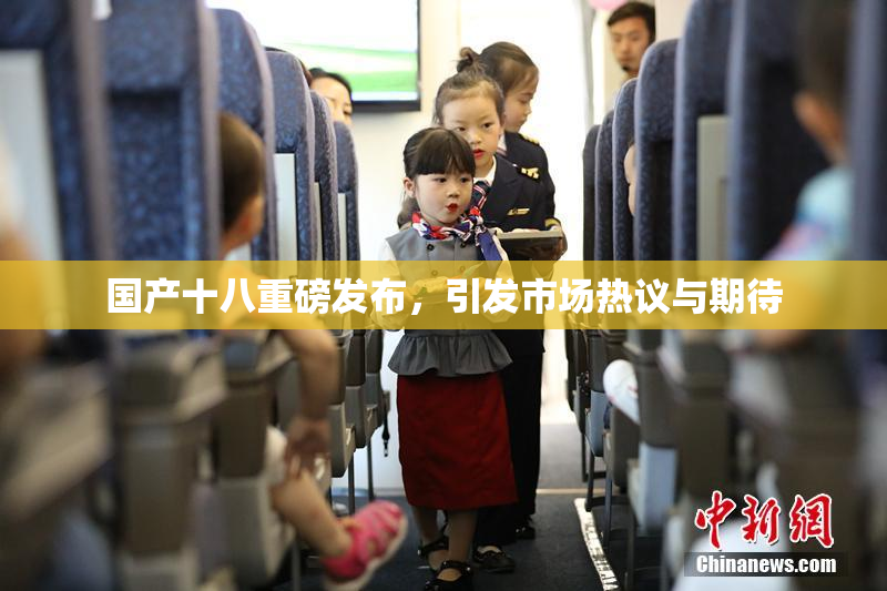 国产十八重磅发布，引发市场热议与期待