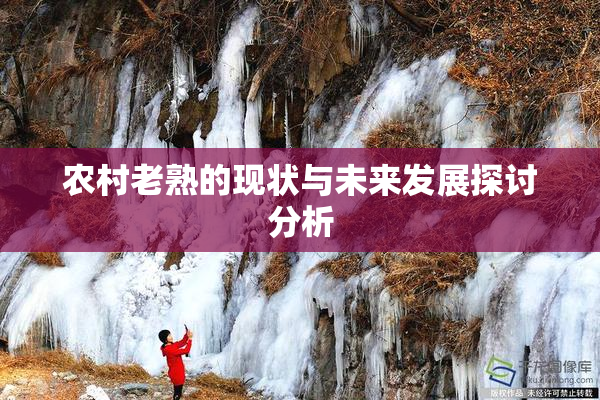 农村老熟的现状与未来发展探讨分析