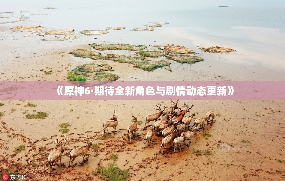 《原神6·期待全新角色与剧情动态更新》