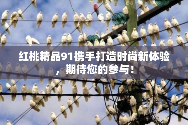 红桃精品91携手打造时尚新体验，期待您的参与！