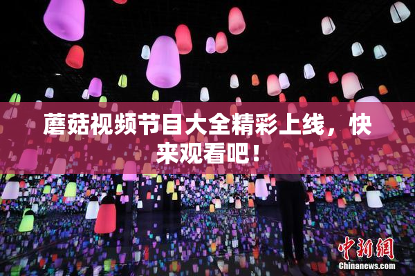 蘑菇视频节目大全精彩上线，快来观看吧！