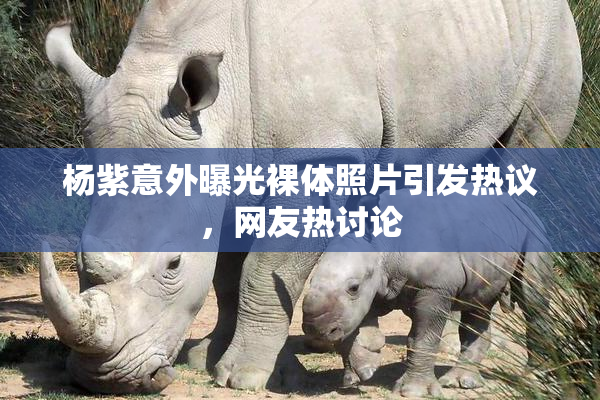 杨紫意外曝光裸体照片引发热议，网友热讨论