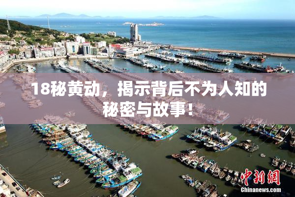 18秘黄动，揭示背后不为人知的秘密与故事！
