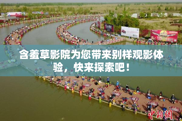 含羞草影院为您带来别样观影体验，快来探索吧！