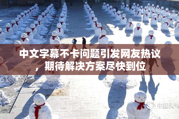 中文字幕不卡问题引发网友热议，期待解决方案尽快到位