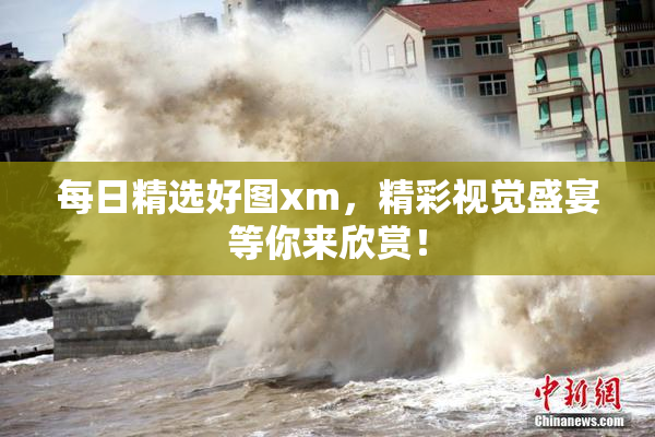 每日精选好图xm，精彩视觉盛宴等你来欣赏！