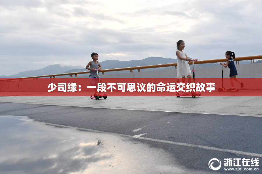 少司缘：一段不可思议的命运交织故事