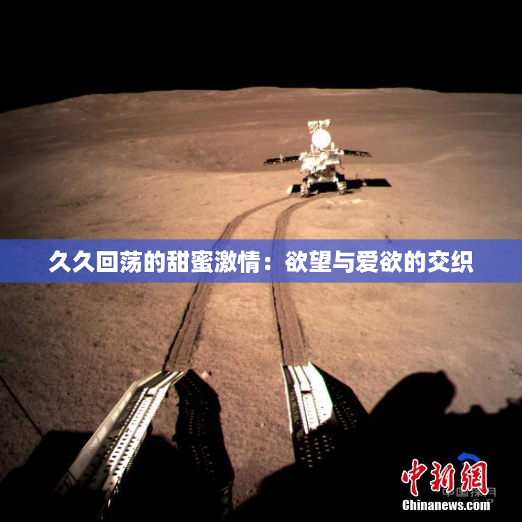 久久回荡的甜蜜激情：欲望与爱欲的交织