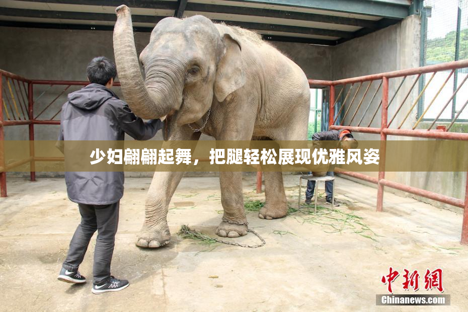 少妇翩翩起舞，把腿轻松展现优雅风姿