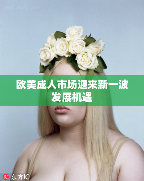 欧美成人市场迎来新一波发展机遇