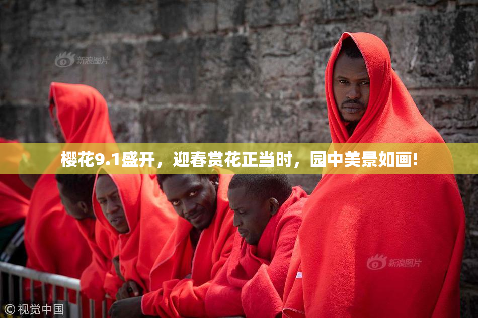 樱花9.1盛开，迎春赏花正当时，园中美景如画!