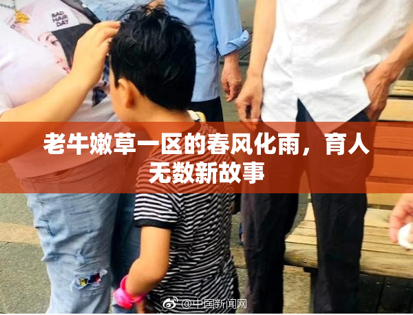 老牛嫩草一区的春风化雨，育人无数新故事