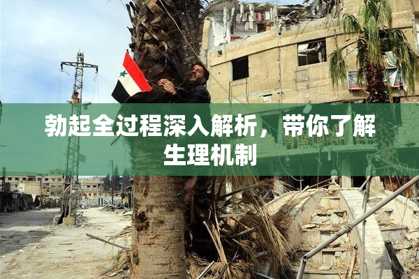 勃起全过程深入解析，带你了解生理机制